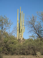 Southwest US Photo