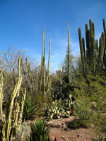 Southwest US Photo