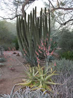 Southwest US Photo