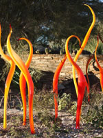 Southwest US Photo