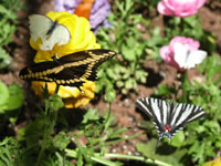 Southwest US Photo