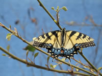 Southwest US Photo