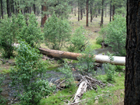 Southwest US Photo