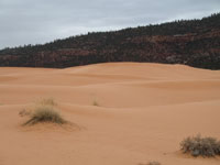 Southwest US Photo