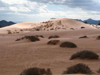 Southwest US Photo